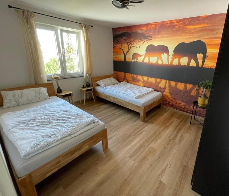 Apartment Zentrale Mit Kueche&wlan *